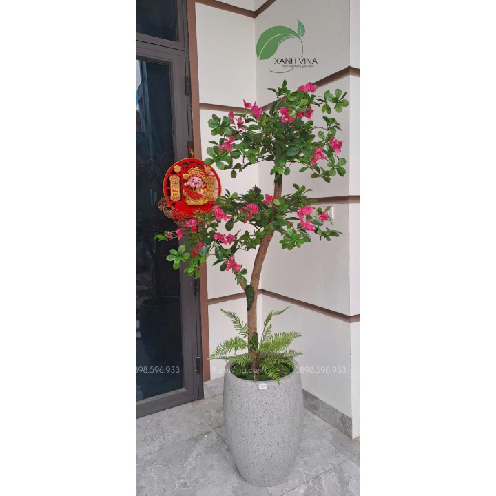 cây hoa đỗ quyên giả đẹp giống thật trang trí 